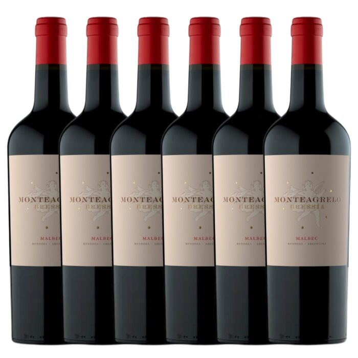 Vino Malbec Monteagrelo Bressia x 6 unidades