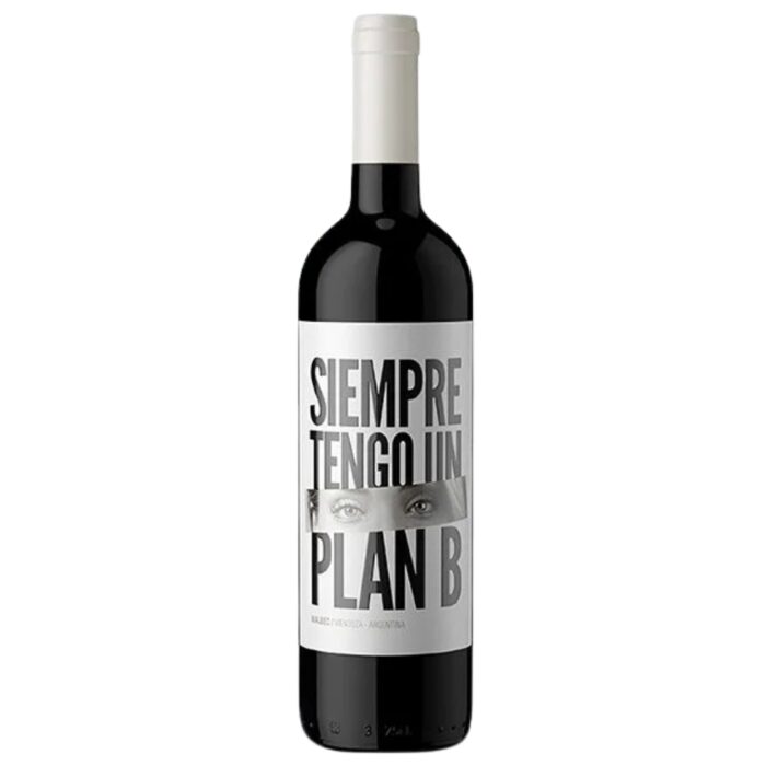 Vino Plan B Malbec Bodega Budeguer