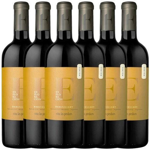 Caja Las Perdices Exploración Geográfica Gualtallary Malbec x6