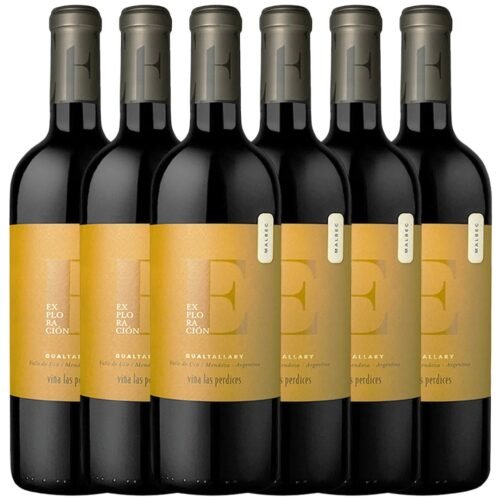 Vino Exploracion Malbec Gualtallary x6 unidades