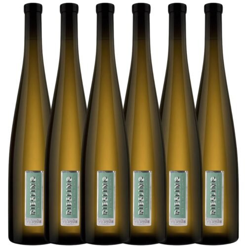 Vino Riesling Exploración x6 unidades