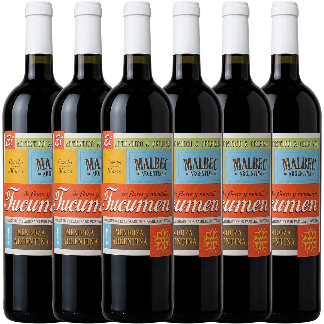 Caja Budeguer Tucumén Joven Malbec x6
