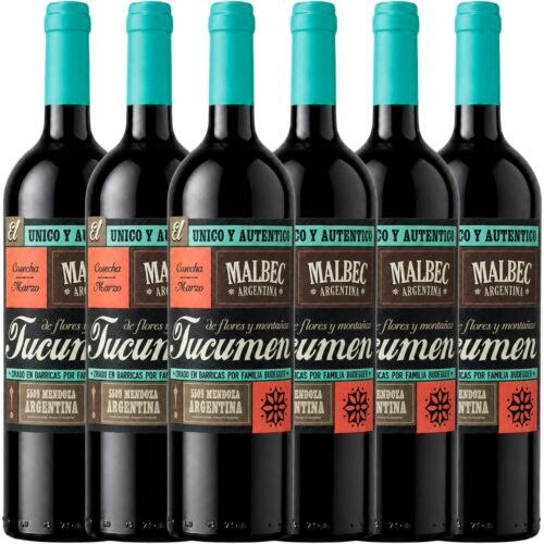 Caja Budeguer Tucumén Reserva Malbec x6