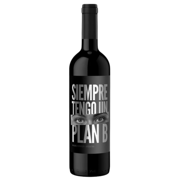 Vino Plan B Black Blend Bodega Budeguer