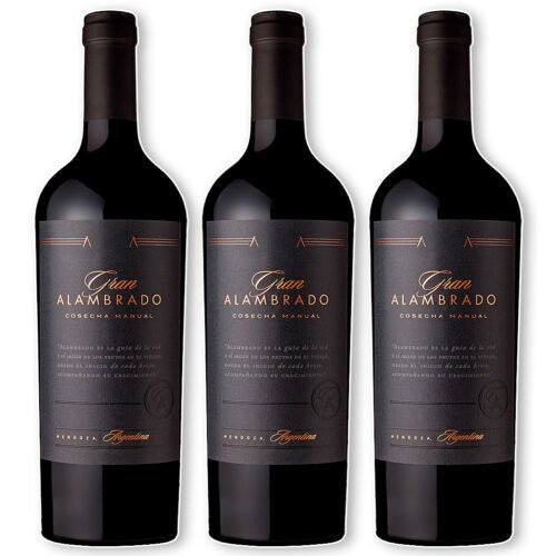 Vino Gran Alambrado Varietal Bodega Santa Julia x 3