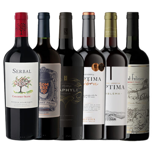 Mix Hot Sale Vinos Cabernet Franc Recomendados x 6 unidades en casa de vinos mendoza