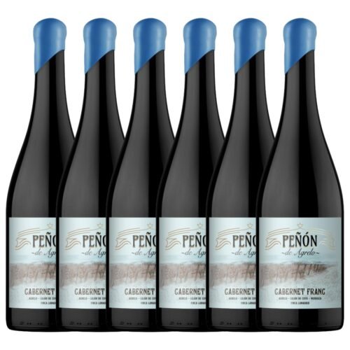 Vino Cabernet Franc Peñon de Agrelo x 6 unidades