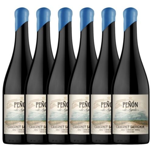 Vino Cabernet Sauvignon Peñon de Agrelo x 6 unidades