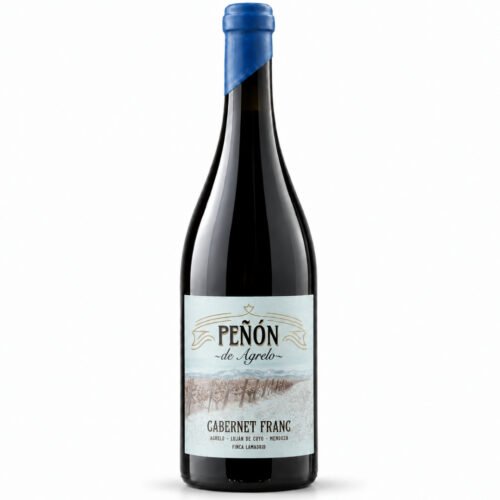 Vino Lamadrid Peñón de Agrelo Cabernet Franc 750ml | Finca Lamadrid
