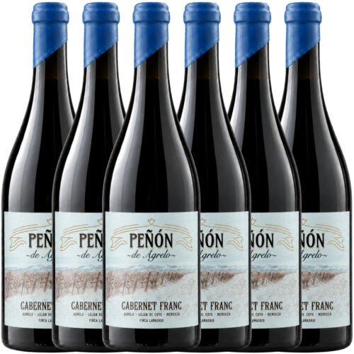 Vino Lamadrid Peñón de Agrelo Cabernet Franc 750ml x6 unidades