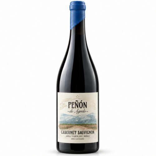 Vino Lamadrid Peñón de Agrelo Cabernet Sauvignon 750ml | Finca La Suiza
