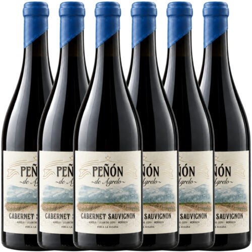 Vino Lamadrid Peñón de Agrelo Cabernet Sauvignon 750ml x6 unidades