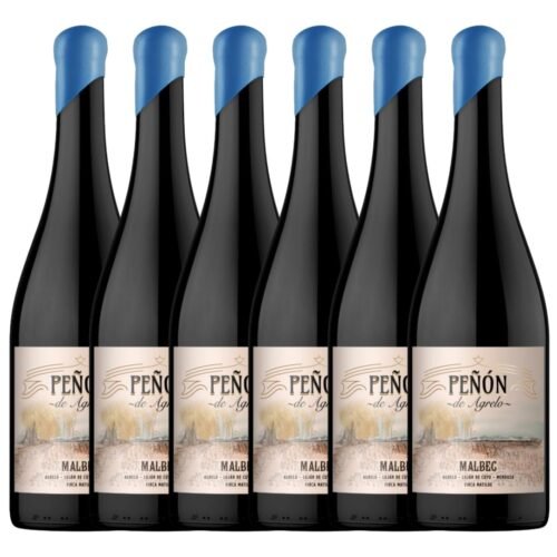Vino Malbec Peñon de Agrelo x 6 unidades