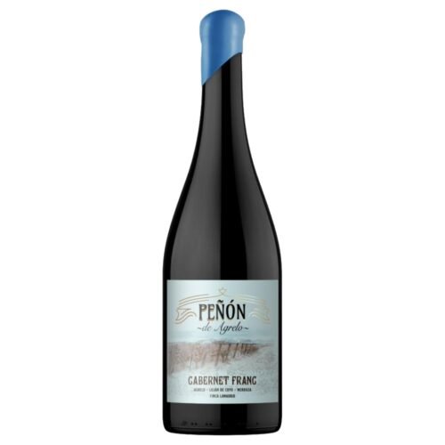 Vino Peñon de Agrelo Cabernet Franc Bodega Lamadrid