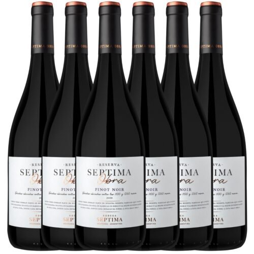 Vino Septima Obra Pinot Noir x6 unidades