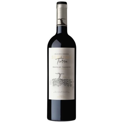 Vino Septima Tierra Malbec Gualtallary 750ml