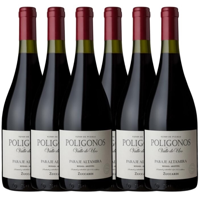 Mix Vino Poligonos Paraje Altamira x6 unidades