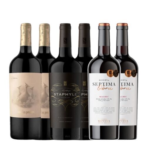 Mix Vinos Reserva Tops Precio/Calidad x 6 unidades