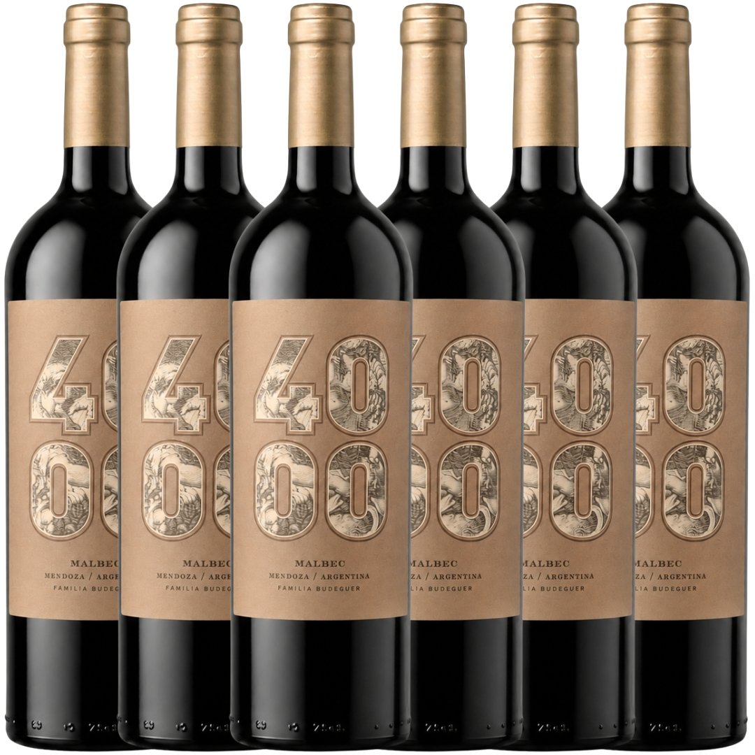 Caja Budeguer 4000 Gran Reserva Malbec x6