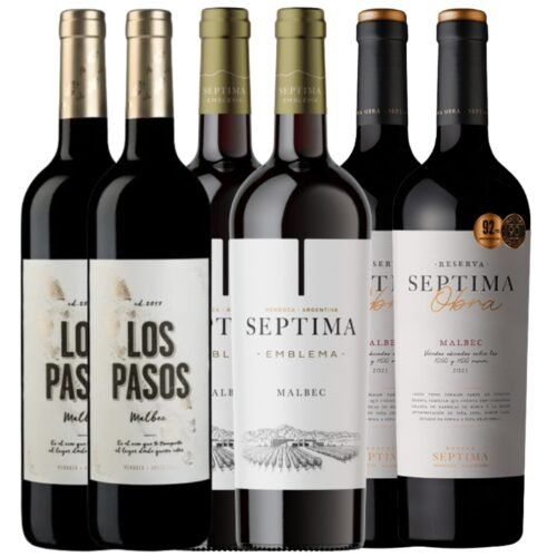 Tradicionales Bodega Septima Emblema x2 Obra x2 Los Pasos x2