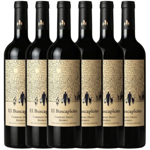 Vino El Buscapleito Cabernet Franc 750ml x6 unidades