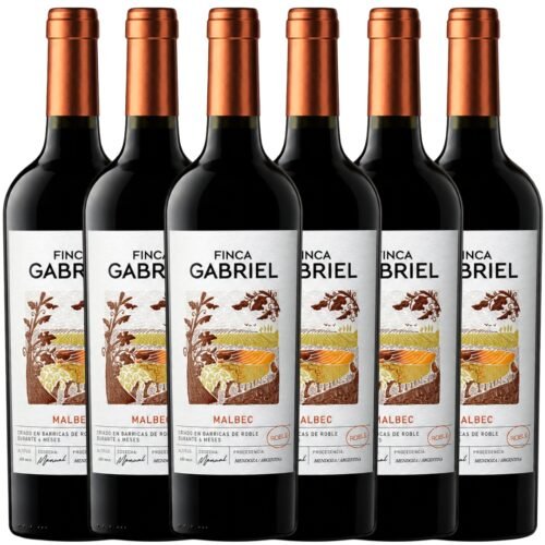 Vino Finca Gabriel Malbec 750ml x6 unidades