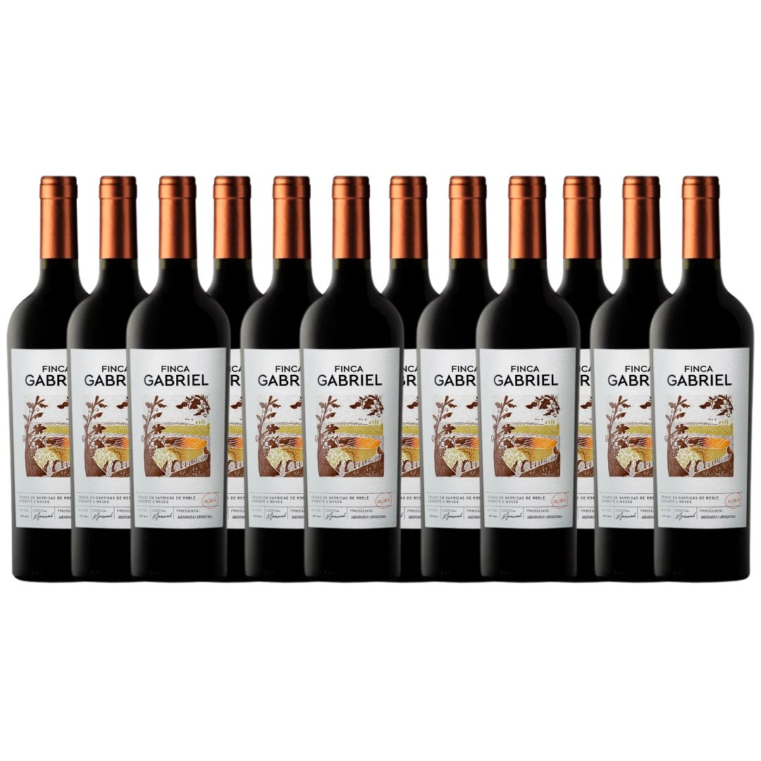 Vino Finca Gabriel Tinto Bodega Jorge Rubio x 12 unidades
