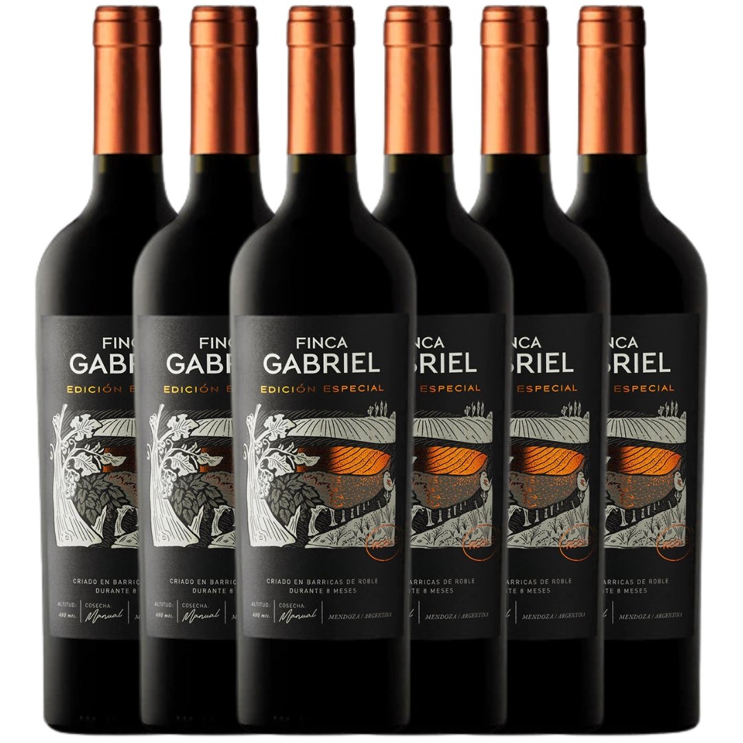 Vino Finca Gabriel Cabernet Sauvignon Ed Especial x6 unidades
