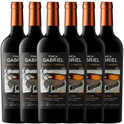 Vino Finca Gabriel Edición Especial Malbec 750ml x6 unidades