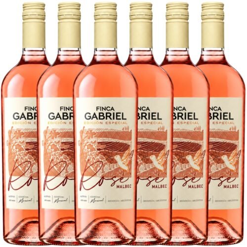 Vino Finca Gabriel Edición Especial Rosé Malbec 750ml x6 unidades