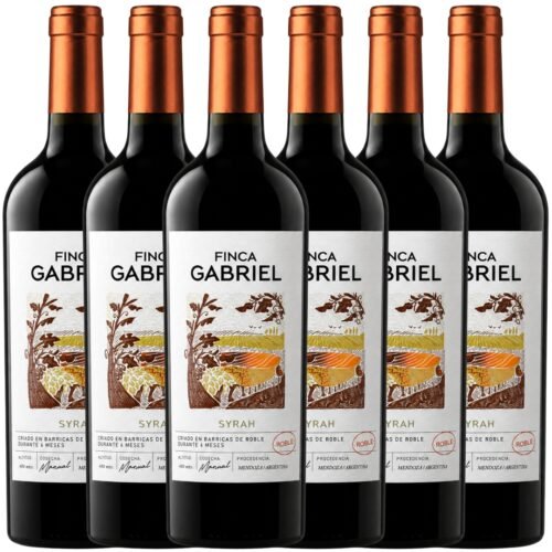 Vino Finca Gabriel Syrah 750ml x6 unidades