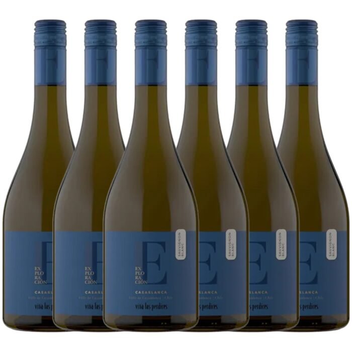 Vino Sauvignon Blanc Chile x6 unidades