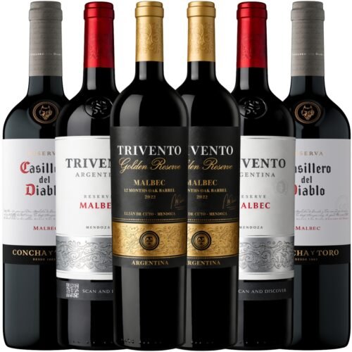 Descubrí Bodega Trivento en 6 Botellas