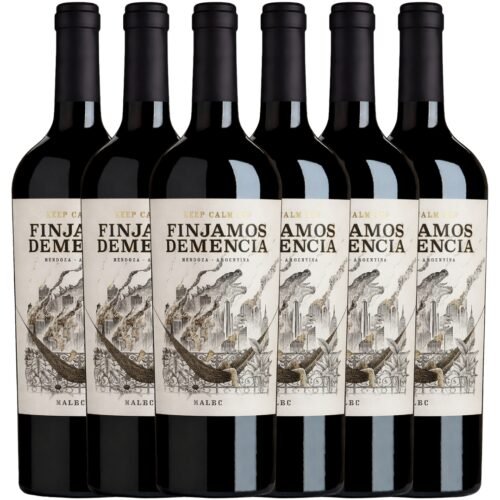 Vino Finjamos Demencia Malbec x6