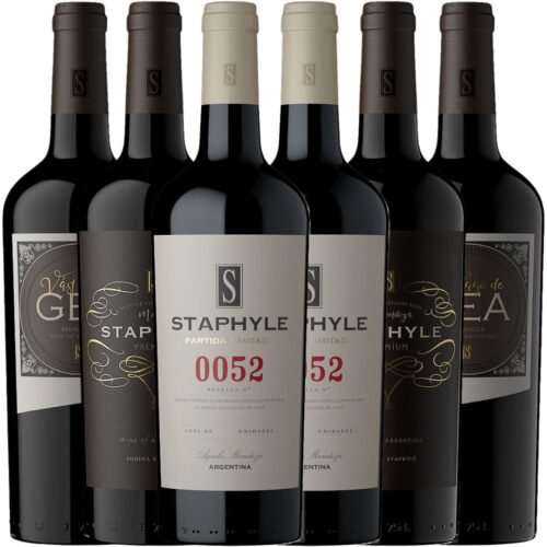Mix Descubrí Bodega Staphyle x6 | Luján de Cuyo