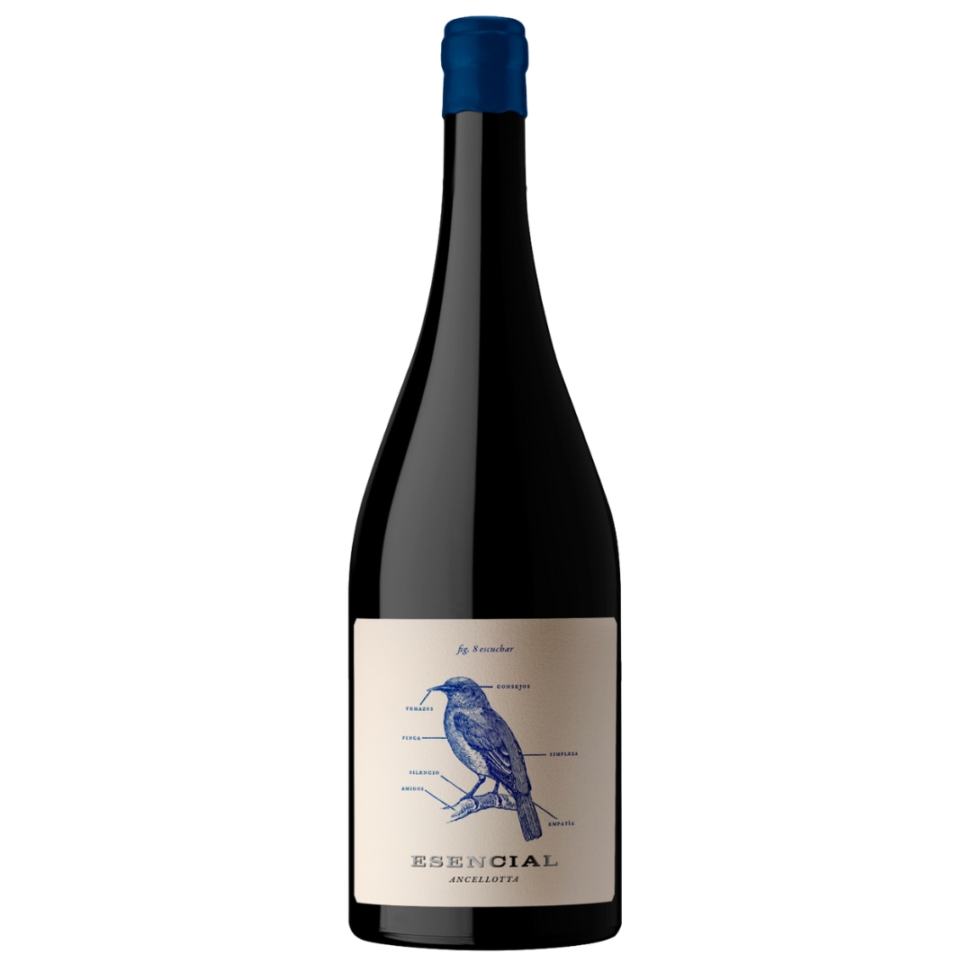 Vino Esencial Ancellota Bodega Viña Alta