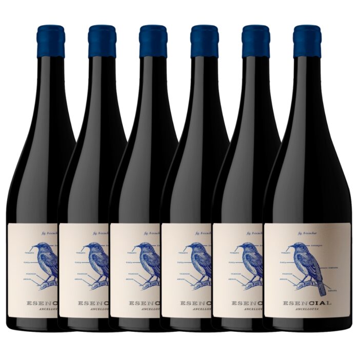 Vino Ancellota Esencial Bodega Viña Alta x 6 unidades