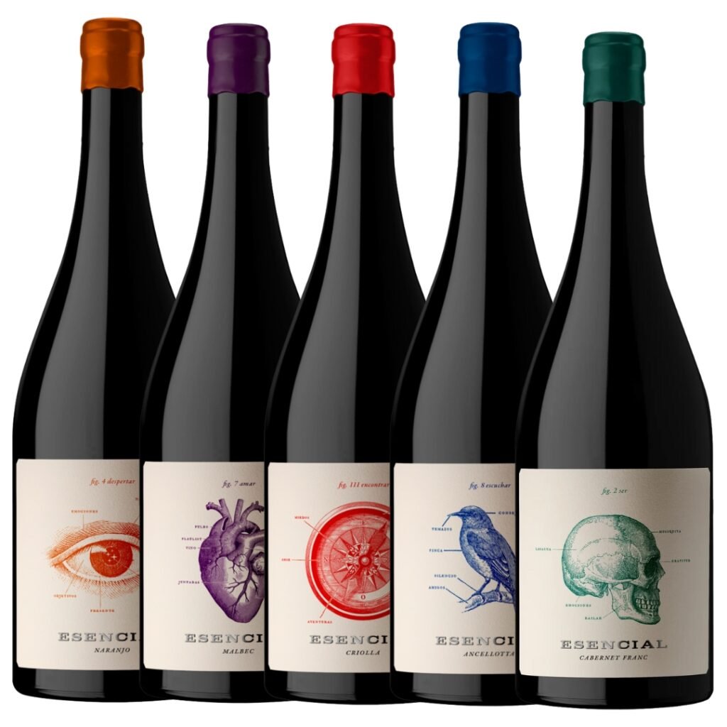 Mix Vinos Esencial Bodega Viña Alta x 5 unidades