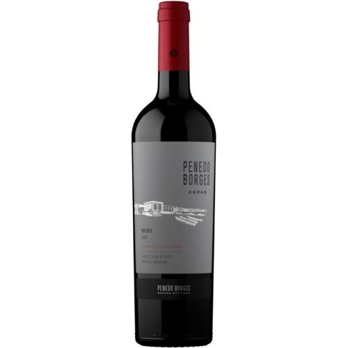 Vino Penedo Borges Cepas Malbec 750ml