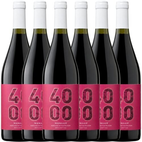 Vino Budeguer 4000 Reserva Merlot 750ml x6 unidades
