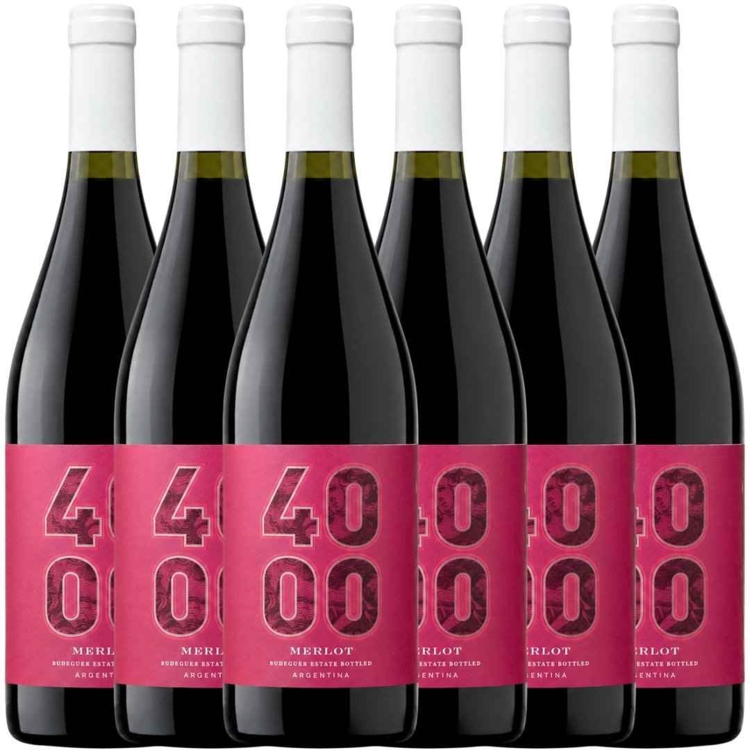 Caja Budeguer 4000 Reserva Merlot x6