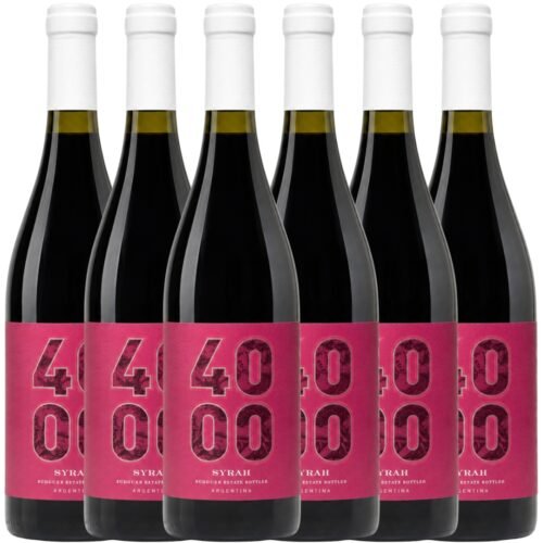 Vino Budeguer 4000 Reserva Syrah 750ml x6 unidades