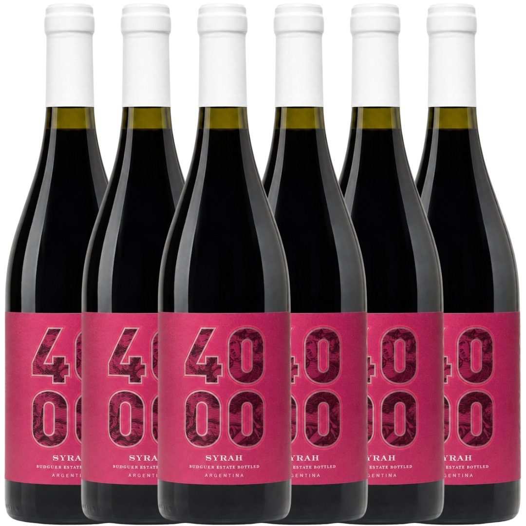 Caja Budeguer 4000 Reserva Syrah x6