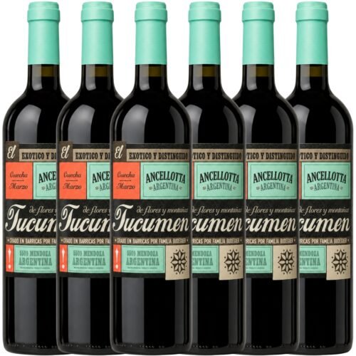 Vino Budeguer Tucumén Reserva Ancellotta 750ml x6 unidades