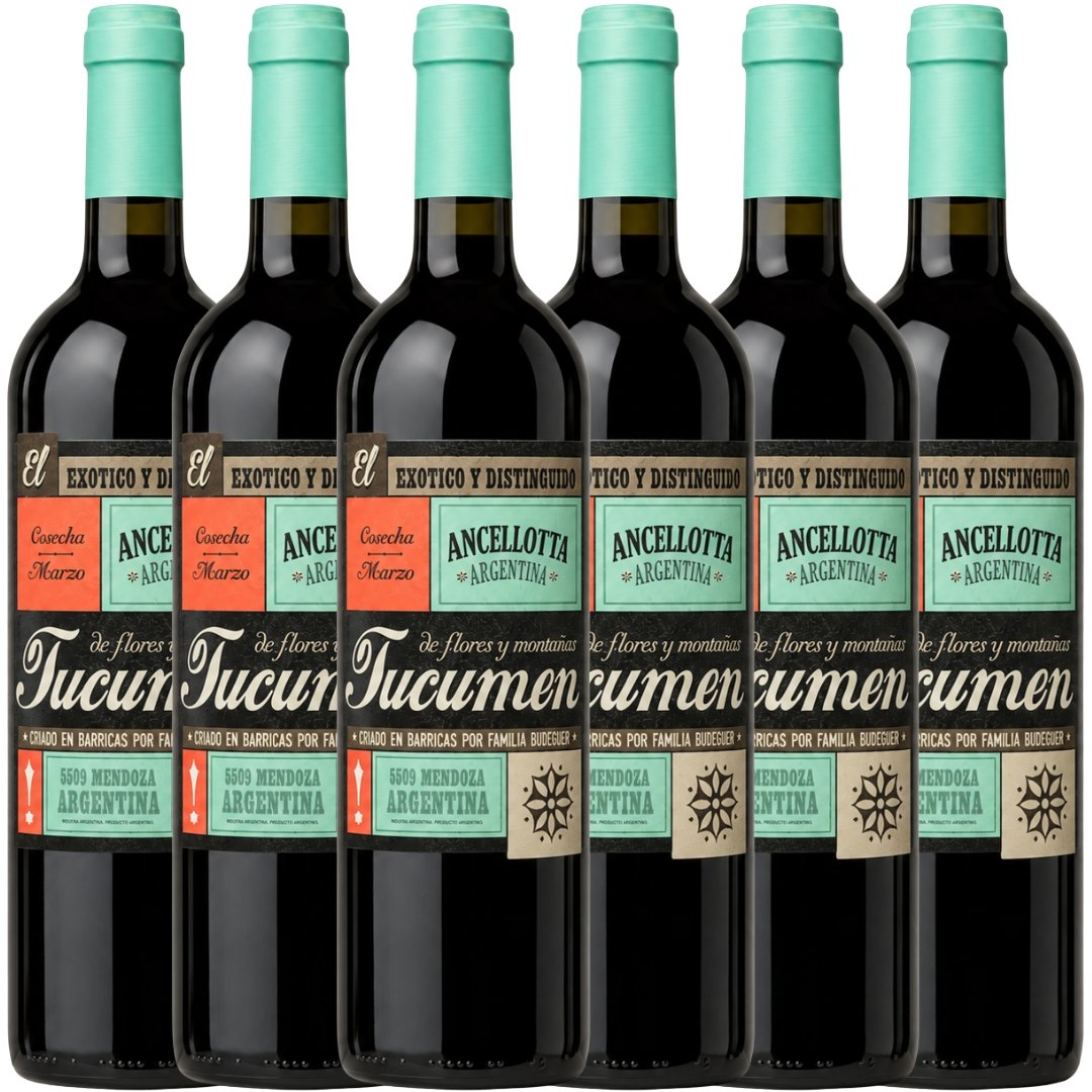 Caja Budeguer Tucumén Reserva Ancellotta x6