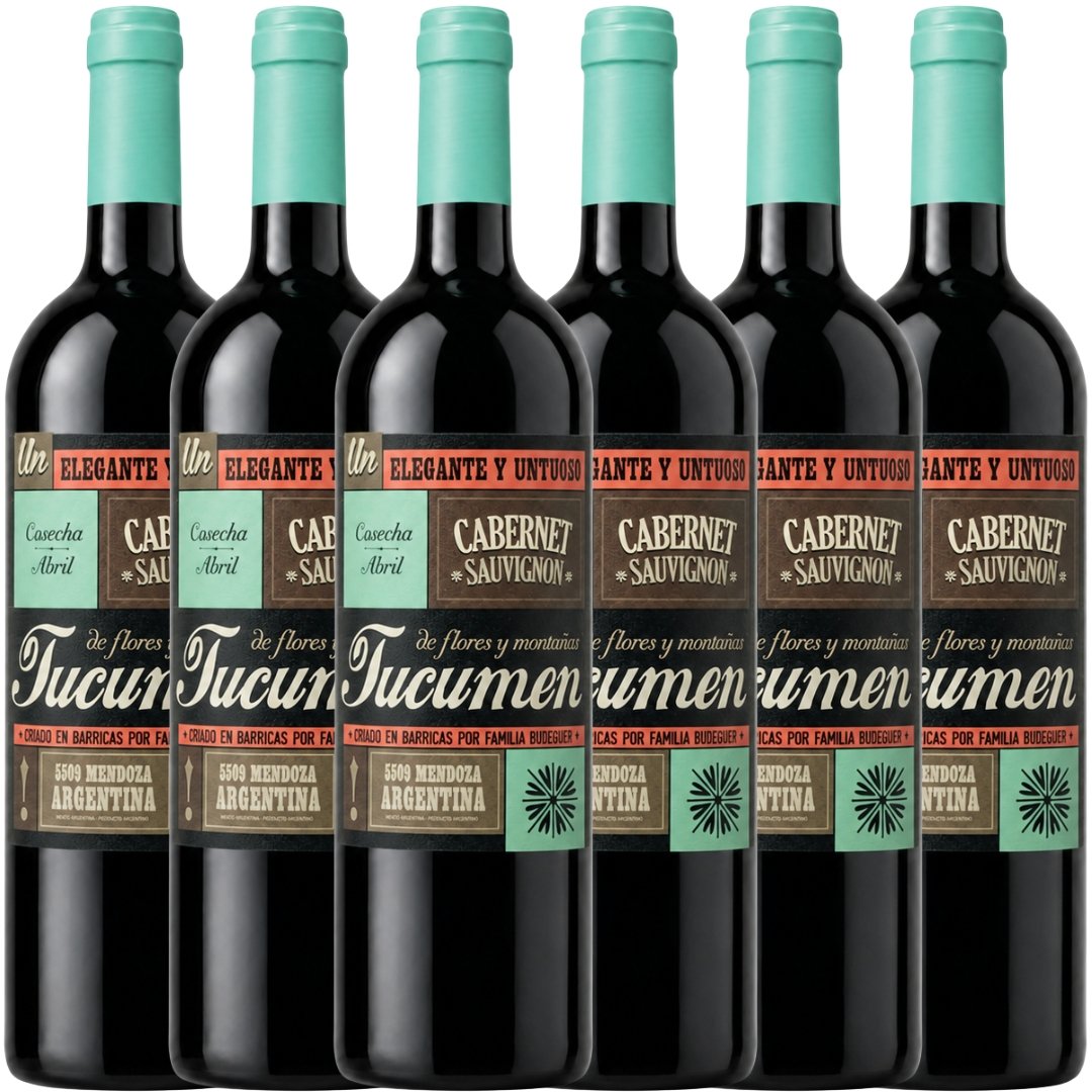 Caja Budeguer Tucumén Reserva Cabernet Sauvignon x6