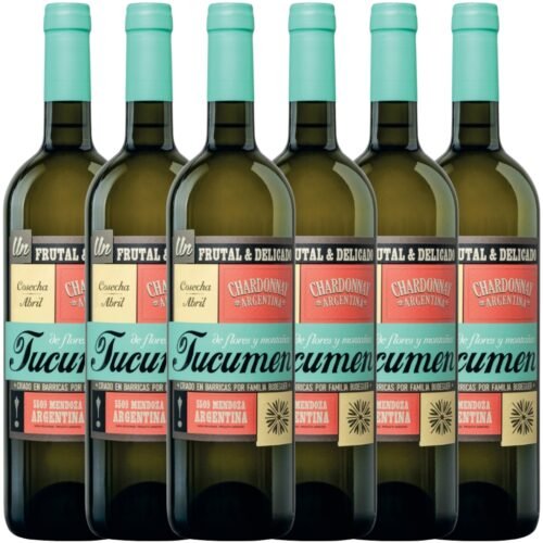 Vino Budeguer Tucumén Reserva Chardonnay 750ml x6 unidades