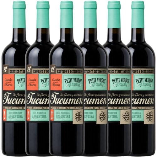 Vino Budeguer Tucumén Reserva Petit Verdot 750ml x6 unidades