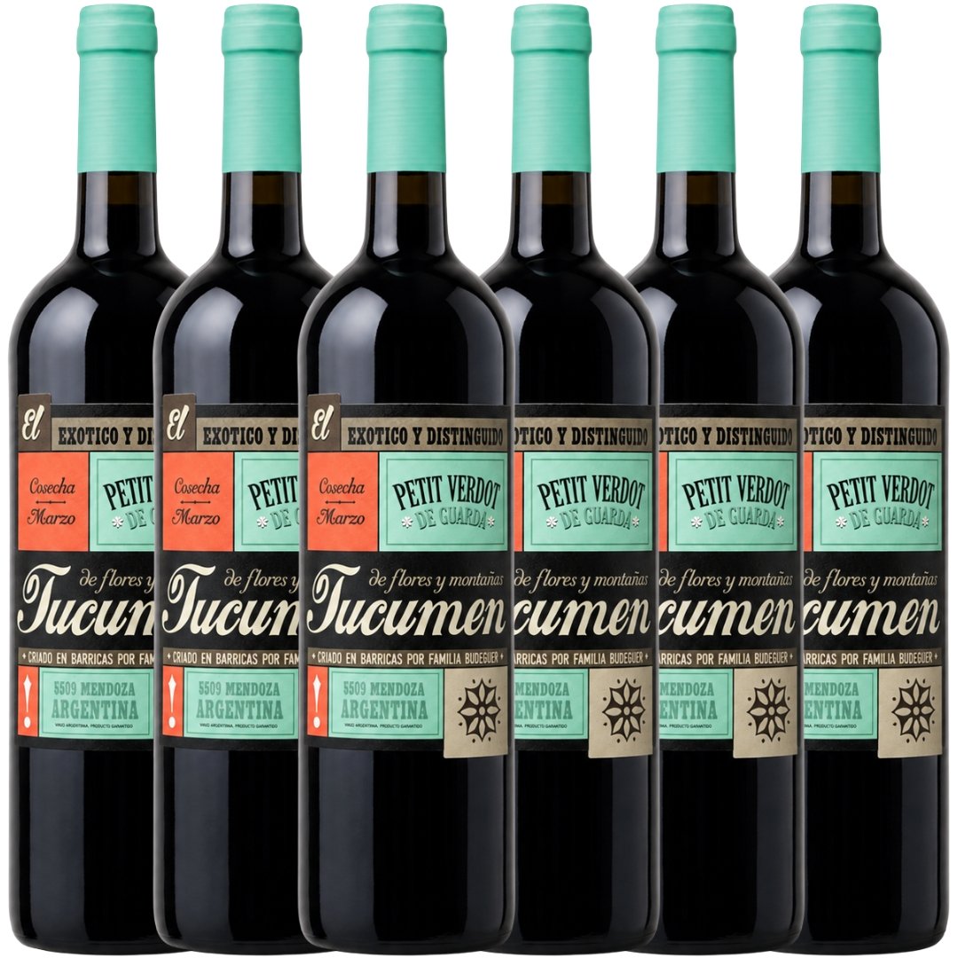 Caja Budeguer Tucumén Reserva Petit Verdot x6