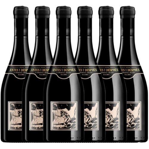 Vino Antes y Despues Malbec Franc de Ciro y Los Persas x 6 unidades